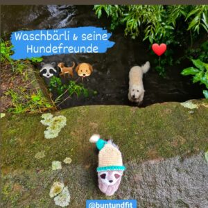 Read more about the article Waschbärli und seine Hundefreunde