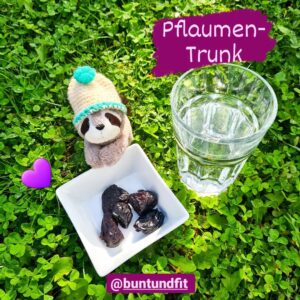 Read more about the article Pflaumen-Trunk