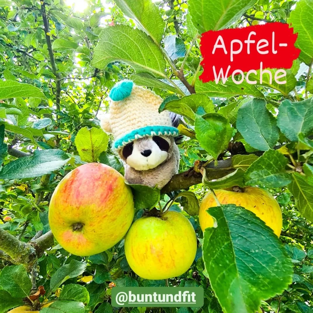 Read more about the article Apfel-Woche