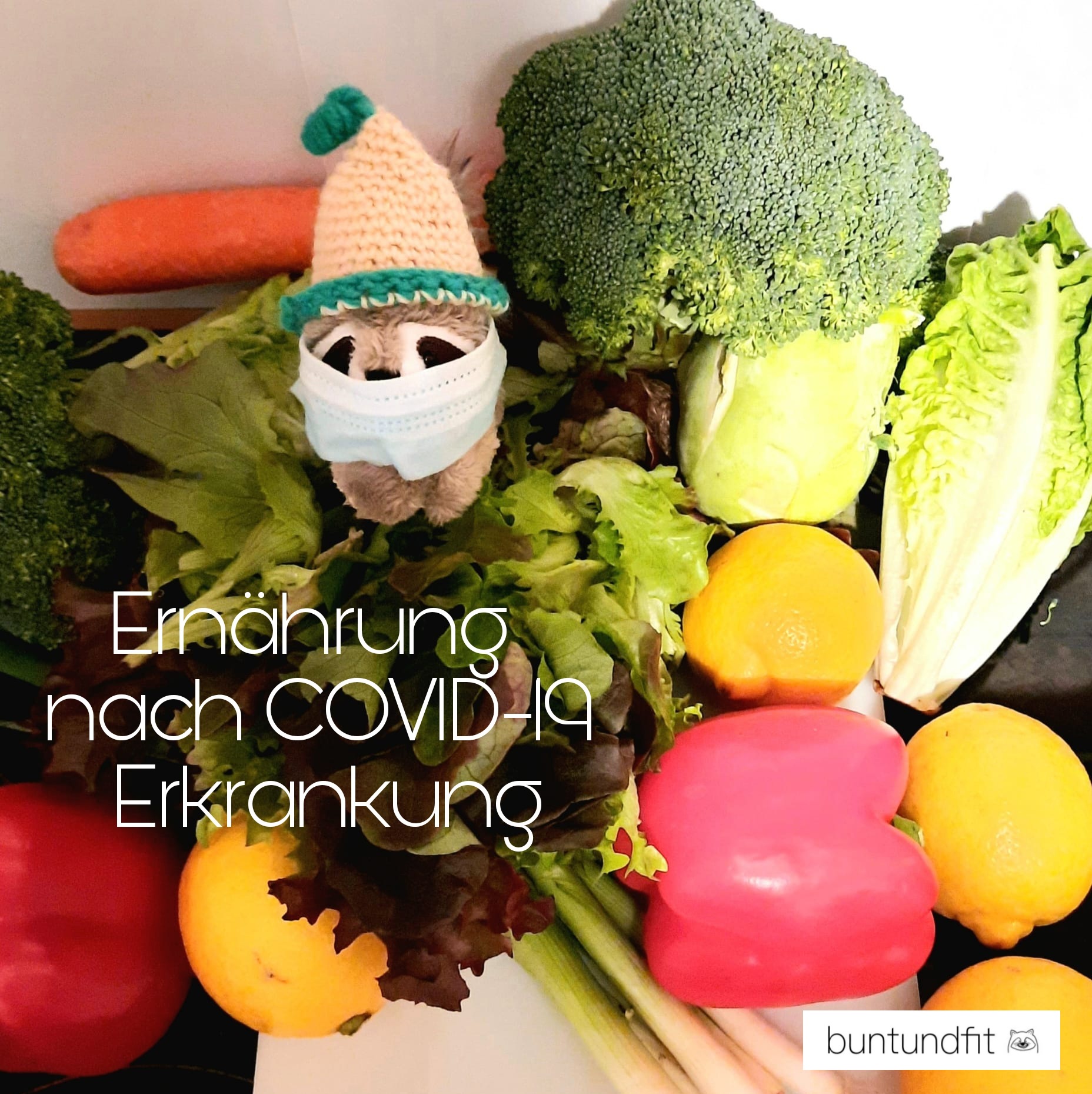 Read more about the article Ernährung nach COVID-19 Erkrankung